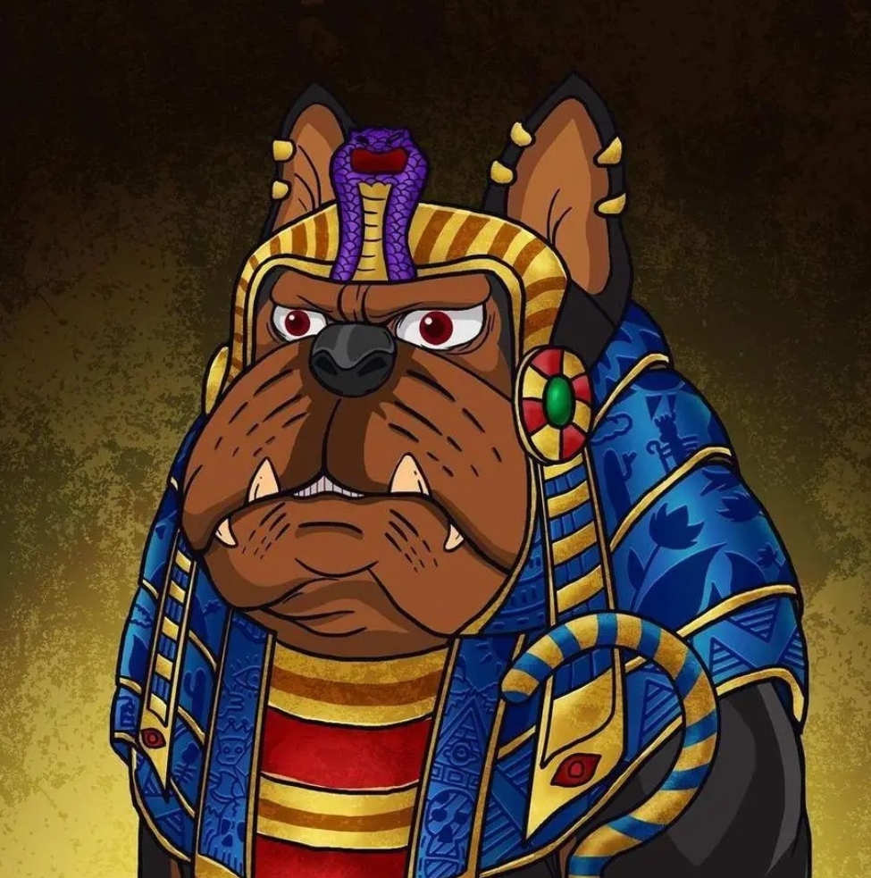 DOG-G avatar